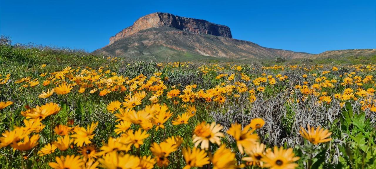 Mountain View Guesthouse Vanrhynsdorp Exterior foto